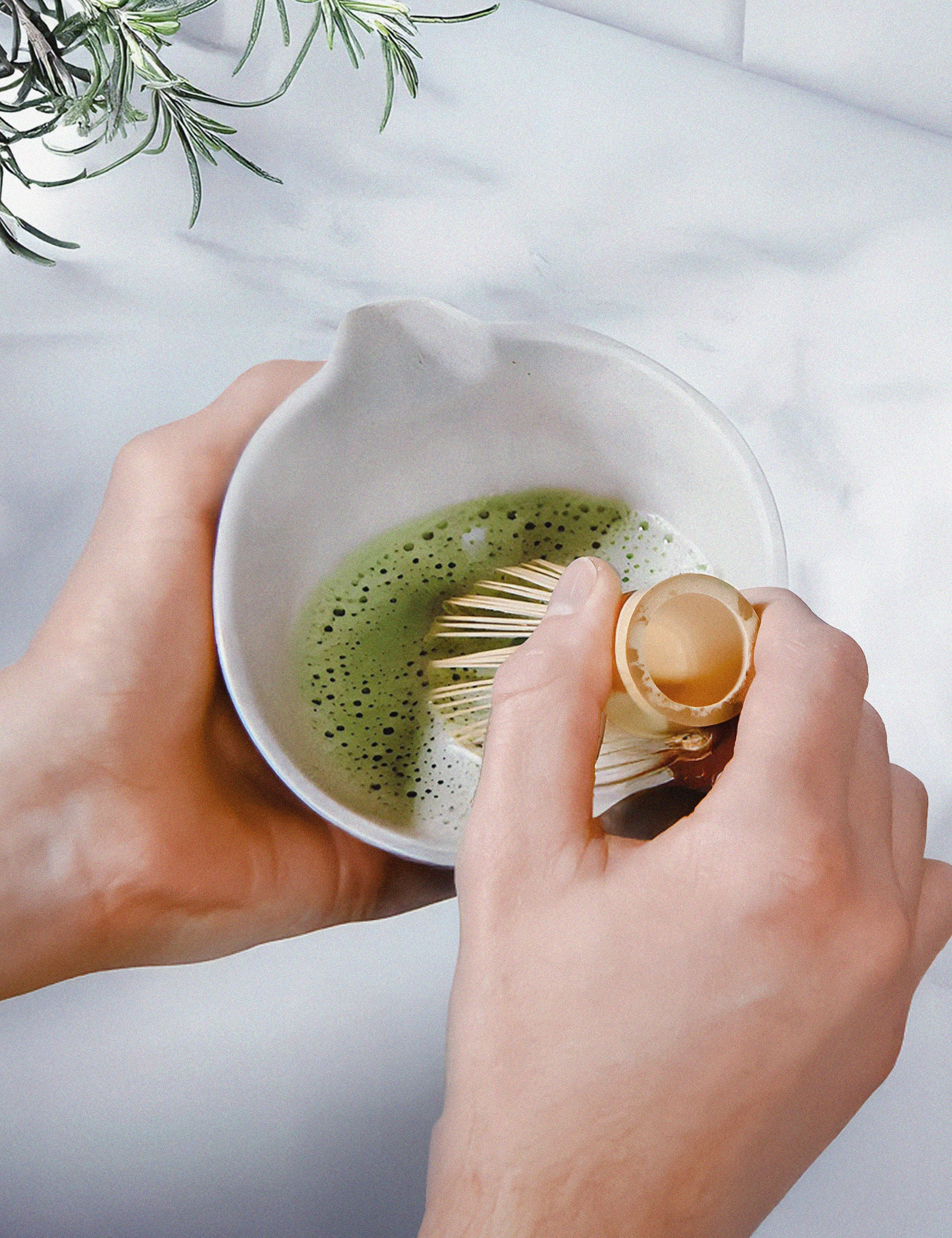 HL_General_Matcha_013_3c1694f5-3d7c-4351-9f65-dc36c2e47f10.jpg
