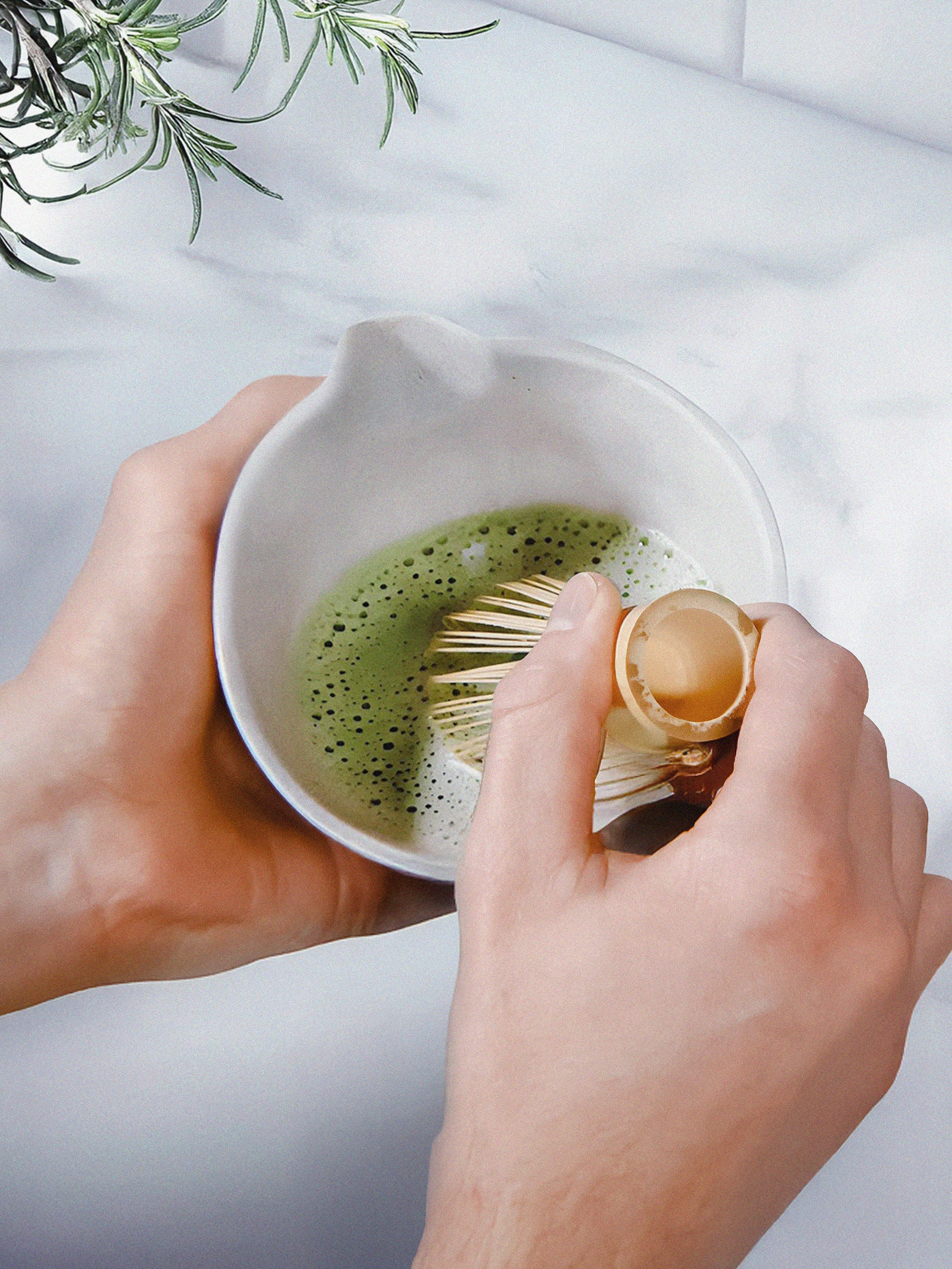 HL_General_Matcha_013_3c1694f5-3d7c-4351-9f65-dc36c2e47f10.jpg
